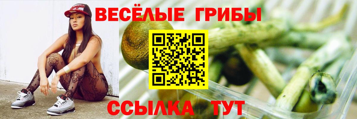 Псилоцибиновые грибы прущие грибы Татарск