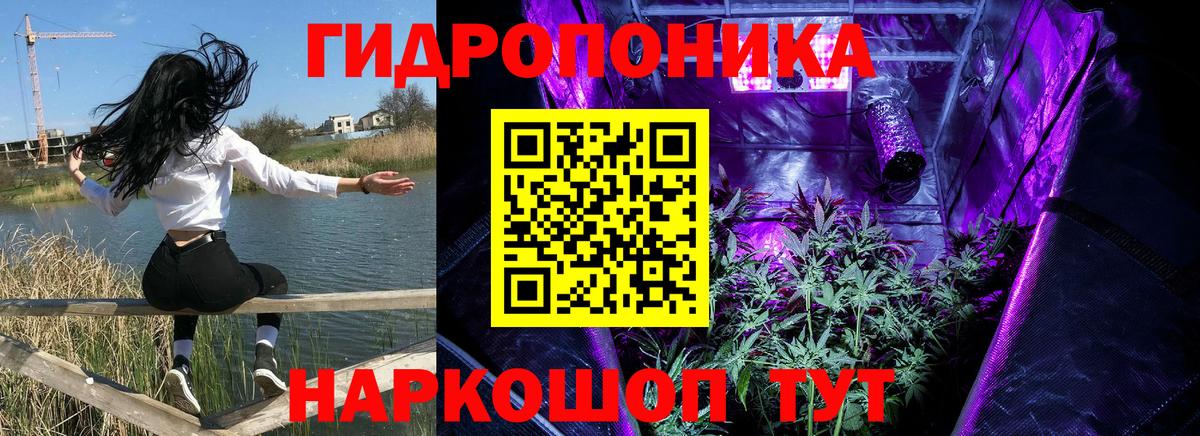 Марихуана тримм  Бошки Шишки сатива  Вход с VPN  Марихуана LSD WEED  Татарск 